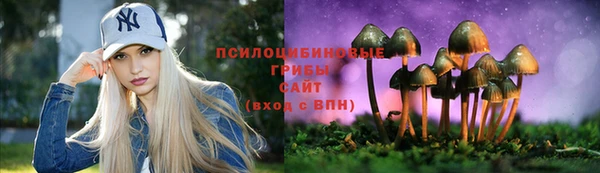 скорость mdpv Елабуга