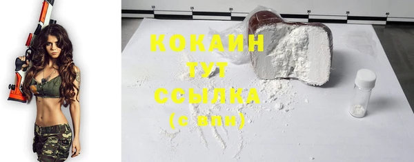 мяу мяу кристалл Ельня