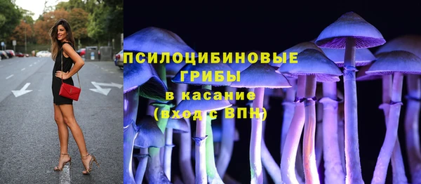 мяу мяу кристалл Ельня